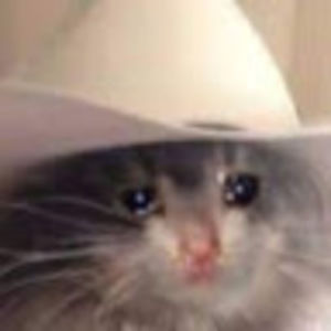 Meet your Posher, Insanity